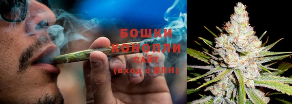 СК Зеленокумск