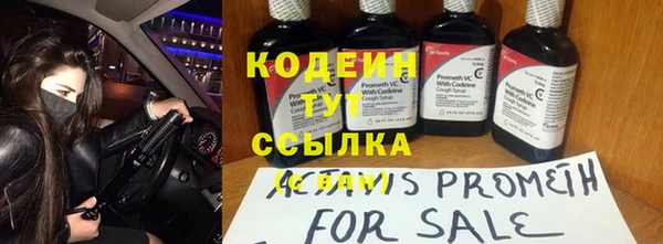 СК Зеленокумск
