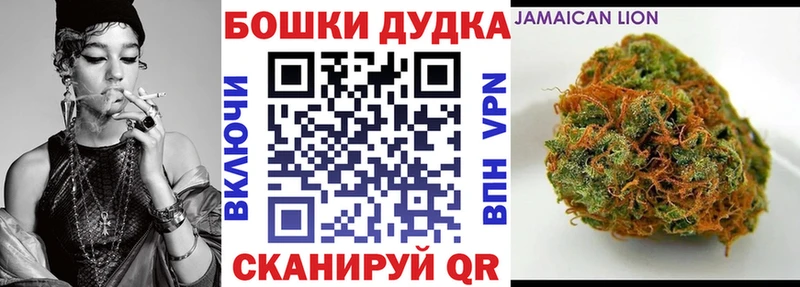 Каннабис OG Kush  Купить где  Луза 
